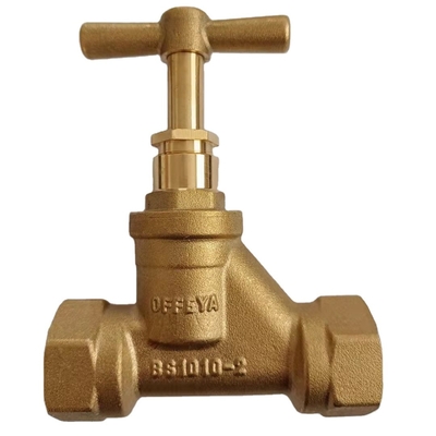 Katup Periksa Air Satu Arah Tahan Karat 32mm 22mm Non Return Valve