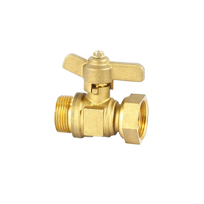 Katup Periksa Air Satu Arah Tahan Karat 32mm 22mm Non Return Valve