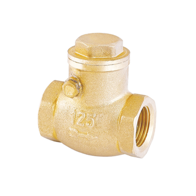 Katup Periksa Air Satu Arah Tahan Karat 32mm 22mm Non Return Valve