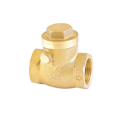 Katup Periksa Air Satu Arah Tahan Karat 32mm 22mm Non Return Valve