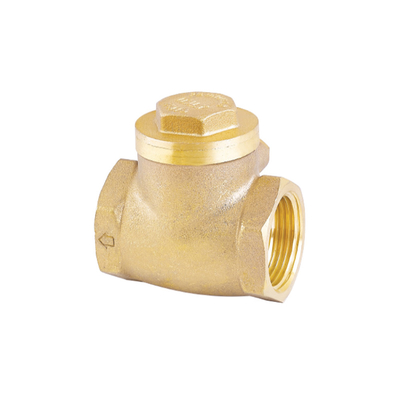 Katup Periksa Air Satu Arah Tahan Karat 32mm 22mm Non Return Valve